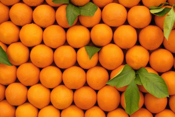source: www.lombardiahotdrinks.com