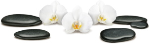 orchid-stones